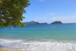 Tobago: Buccoo Reef Glass Bottom Boat Tour: Buccoo Reef Glass Bottom Boat Tour