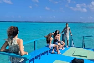 Tobago: Buccoo Reef Marine Park Glass Bottom Boat Tour