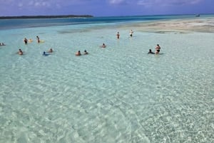 Tobago: Buccoo Reef Marine Park Glass Bottom Boat Tour