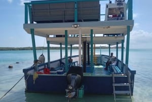 Tobago: Buccoo Reef Marine Park Glass Bottom Boat Tour