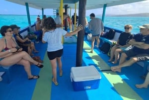 Tobago: Buccoo Reef Marine Park Glass Bottom Boat Tour