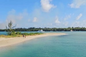Tobago: Coral Reef Boat Tour with BBQ and Transfer