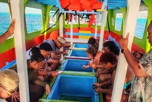 Tobago: Coral Reef Boat Tour with BBQ and Transfer