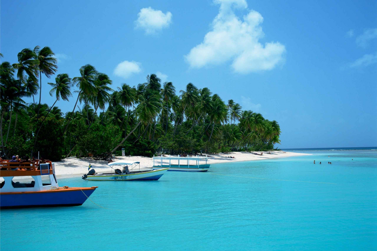 Tobago: Tur med båt på glassbunn og høydepunkter