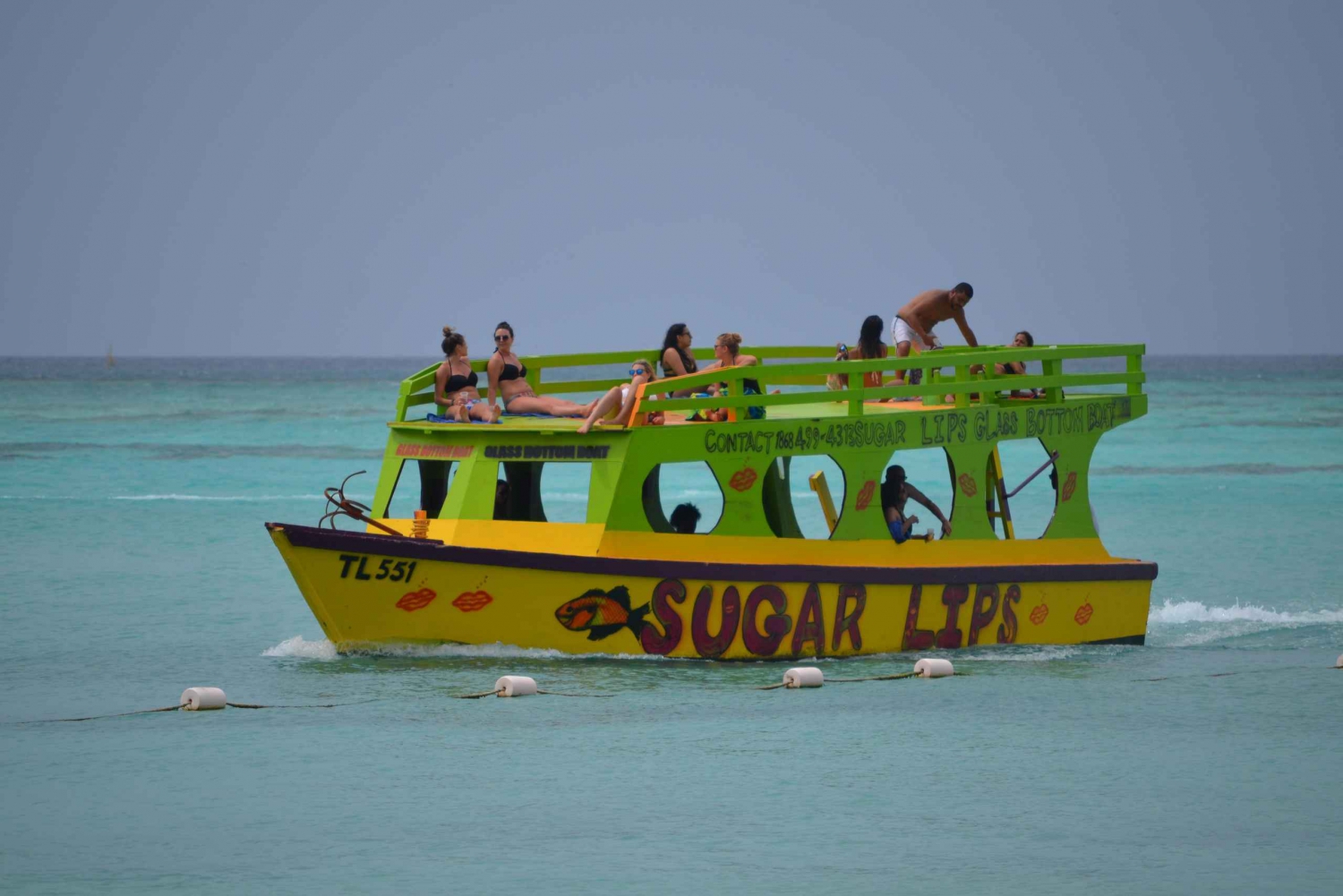 Tobago: Båt med glasbotten och höjdpunkter