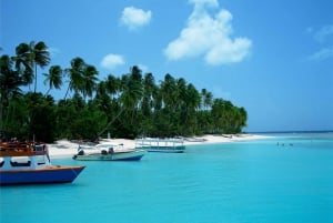 Tobago: Tur med båt på glassbunn og høydepunkter