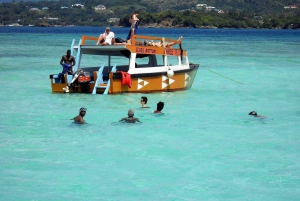 Tobago: Tur med båt på glassbunn og høydepunkter