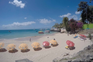 Tobago: Tur med båt på glassbunn og høydepunkter