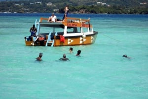 Tobago: Glass Bottom Boat & Highlights Tour