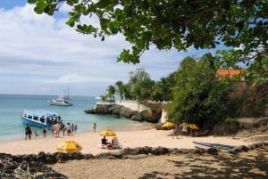 Tobago: Highlights & Tropical Garden with Hummingbirds