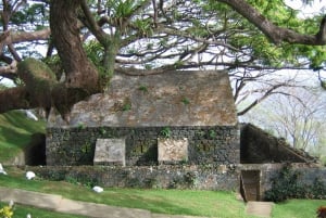 Tobago: Highlights & Tropical Garden with Hummingbirds