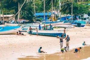 Tobago: Island Circle