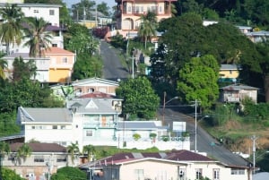 Tobago: Island Circle