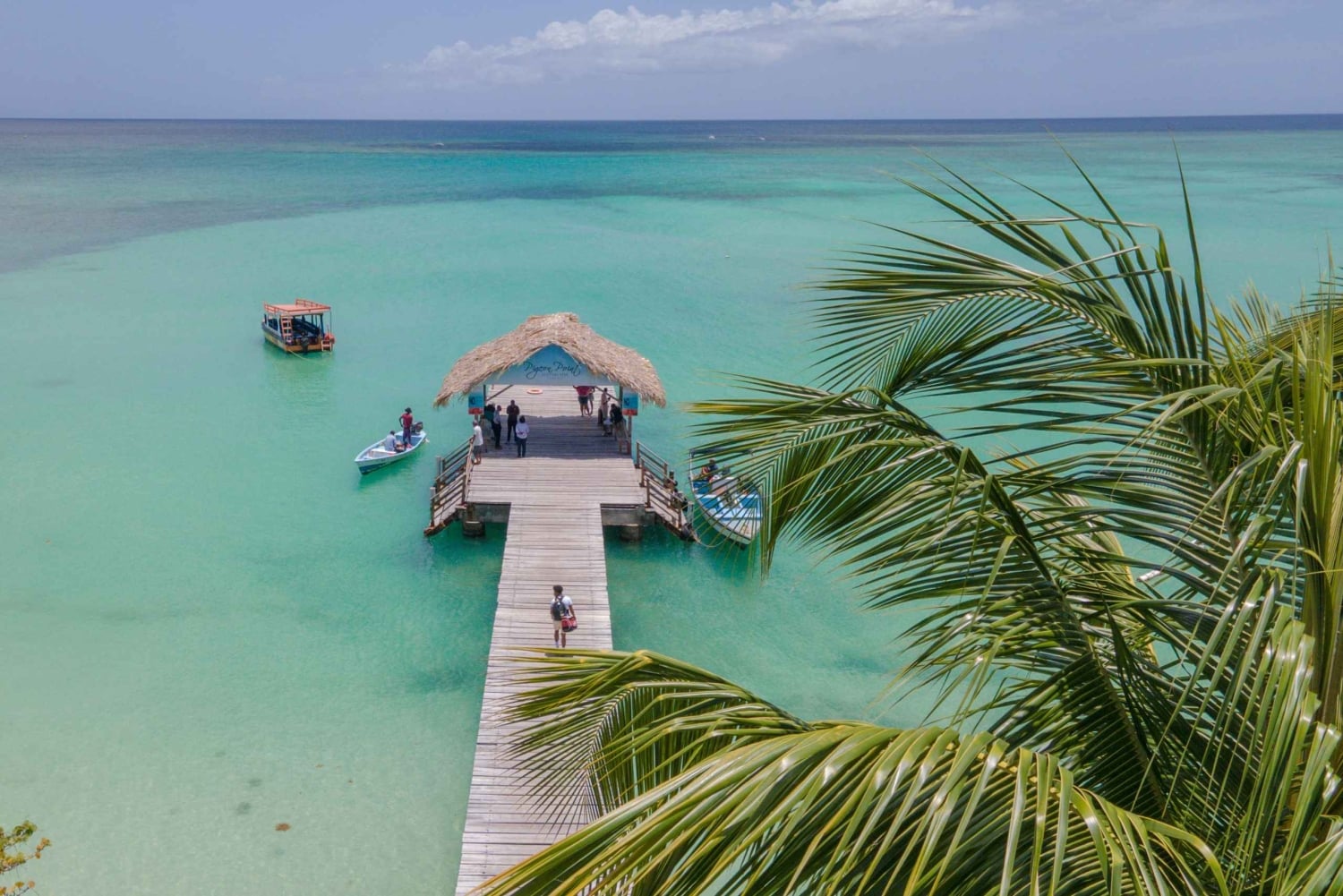 Tobago: Island Tour with Rainforest Drive and Scenic Lookout