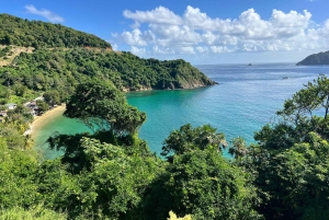 Tobago: Island Tour with Rainforest Drive and Scenic Lookout