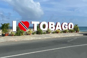 Tobago: Island Tour with Rainforest Drive and Scenic Lookout