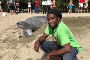 Tobago: Leatherback Turtle Nesting Tour with Pickup