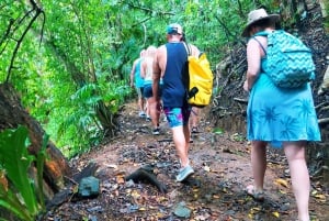 Tobago: Little Tobago Bird Sanctuary Visit and Boat Tour