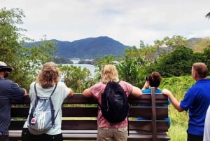 Tobago: Little Tobago Bird Sanctuary Visit and Boat Tour