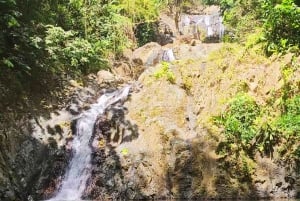 Tobago: Little Tobago Bird Sanctuary Visit and Boat Tour