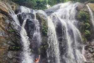 Tobago: Little Tobago Bird Sanctuary Visit and Boat Tour