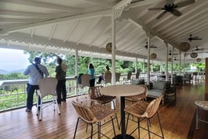 Trinidad: Asa Wright Nature Centre Bird Sanctuary Experience