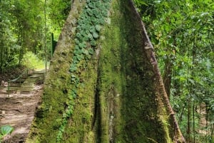 Trinidad: Asa Wright Nature Centre Bird Sanctuary Experience