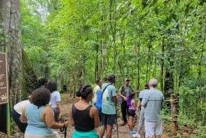 Trinidad: Asa Wright Nature Centre Bird Sanctuary Experience