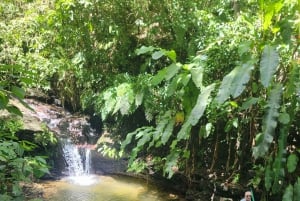 Trinidad: Asa Wright Nature Centre Bird Sanctuary Experience