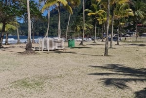 Trinidad: Avocat-vandfald og strandtur i Maracas Bay