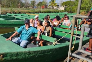 Trinidad: Birding Day Tour with Yerette and Caroni