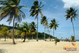Trinidad : Circuit des points forts avec Maracas Bay
