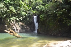 Trinidad: Paria Waterfall Hike