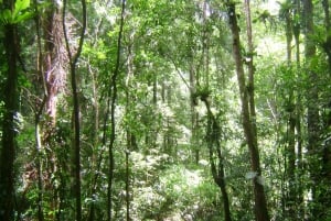 Trinidad: Rio Seco Waterfall