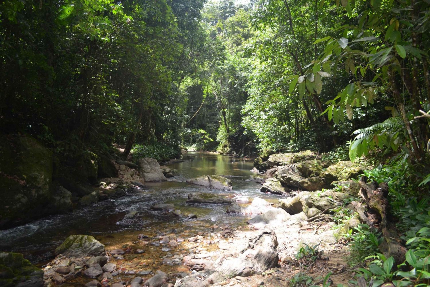 Trinidad & Tobago: Rainforest Hike to Avocat Waterfall