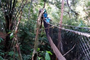 Trinidad: Zip Lining ervaring & Fort George panoramisch uitzicht