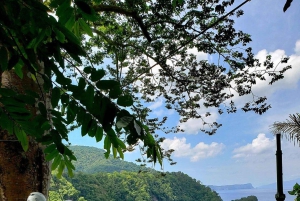 Trinidad: Zipline Adventure with Beach Swim and Transfers