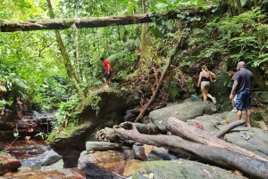 Trinidad: Zorro Waterfall Hike Experience