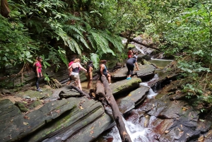 Trinidad: Zorro Waterfall Hike Experience