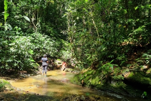 Trinidad: Zorro Waterfall Hike Experience