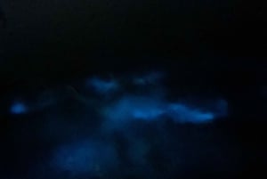 Aventure nocturne ULTIME en bioluminescence avec Brandon