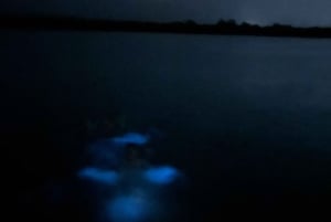Aventure nocturne ULTIME en bioluminescence avec Brandon