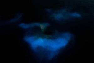 Aventure nocturne ULTIME en bioluminescence avec Brandon