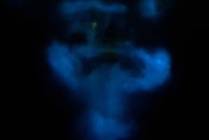 Aventure nocturne ULTIME en bioluminescence avec Brandon