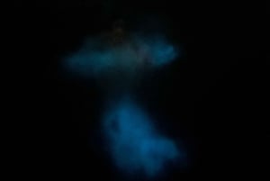 Aventure nocturne ULTIME en bioluminescence avec Brandon