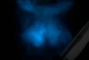 Aventure nocturne ULTIME en bioluminescence avec Brandon