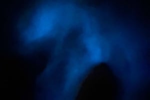 Aventure nocturne ULTIME en bioluminescence avec Brandon