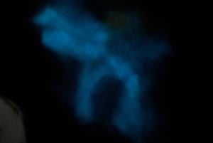 Aventure nocturne ULTIME en bioluminescence avec Brandon