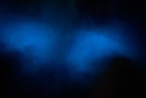 Aventure nocturne ULTIME en bioluminescence avec Brandon