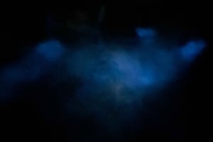 Aventure nocturne ULTIME en bioluminescence avec Brandon